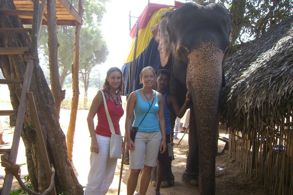 Risenlak Holiday Resort Polonnaruwa Ngoại thất bức ảnh