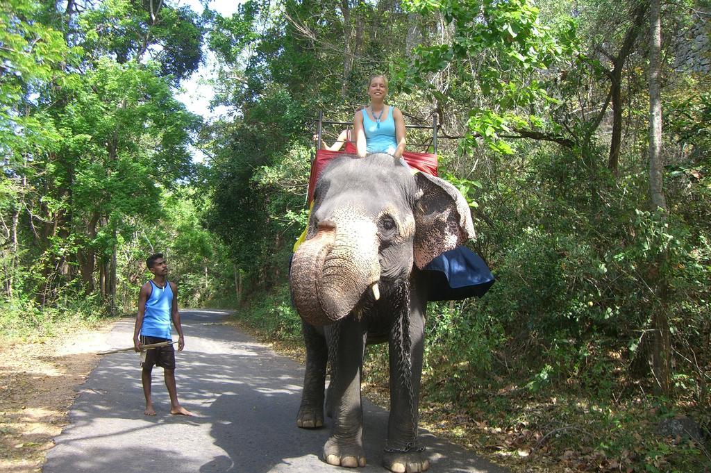 Risenlak Holiday Resort Polonnaruwa Ngoại thất bức ảnh