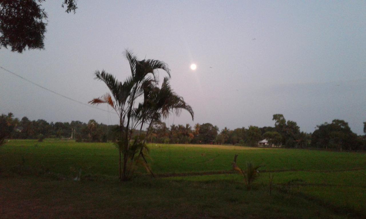 Risenlak Holiday Resort Polonnaruwa Ngoại thất bức ảnh